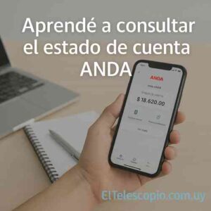 Aprendé a consultar el estado de cuenta ANDA
